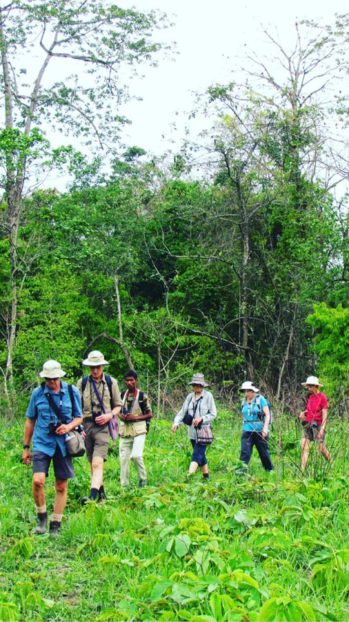 Jungle Trekking in Nameri
