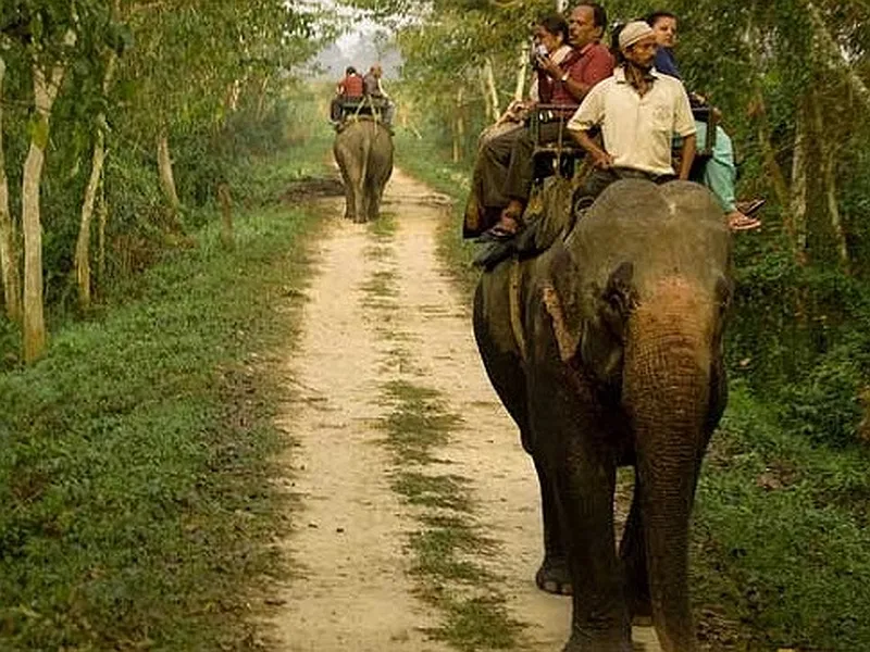 Kaziranga Tawang Tour Package: image #2