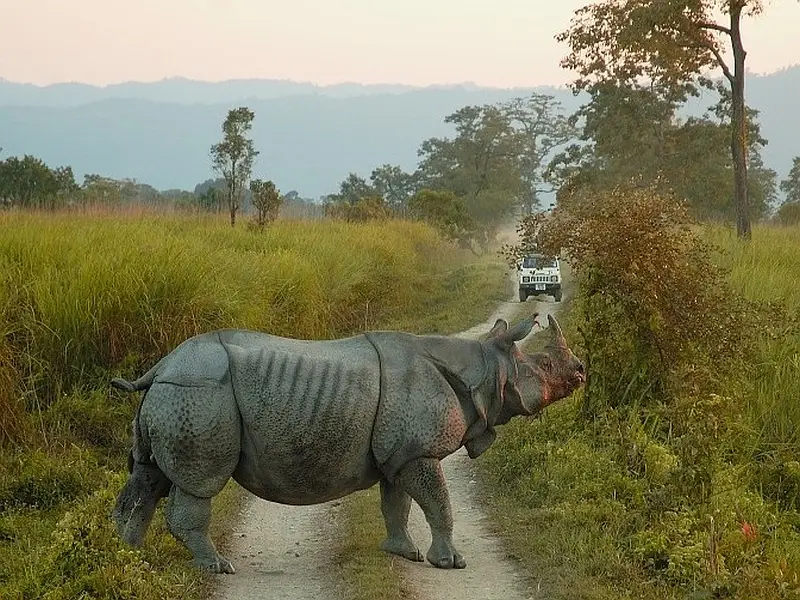 Shillong Cherrapunji Kaziranga Tour Package: image #7