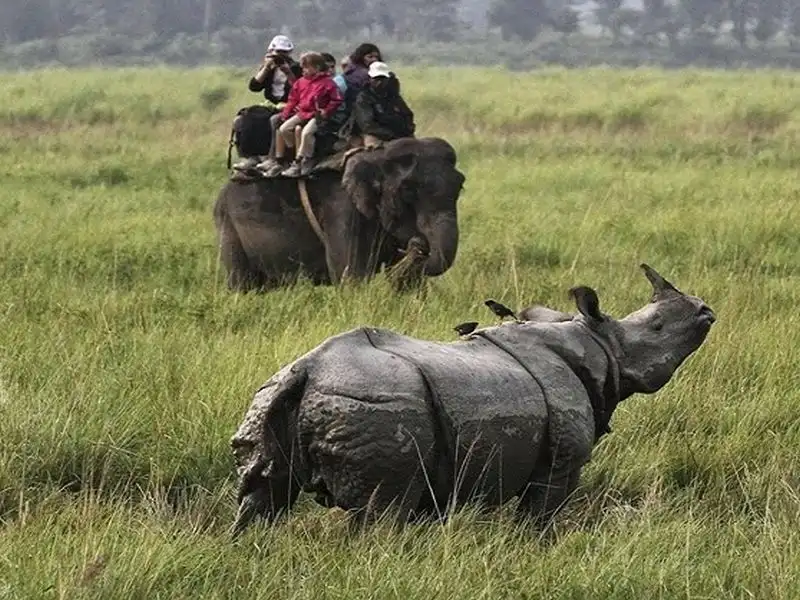 Shillong Cherrapunji Kaziranga Guwahati Tours Package: image #7