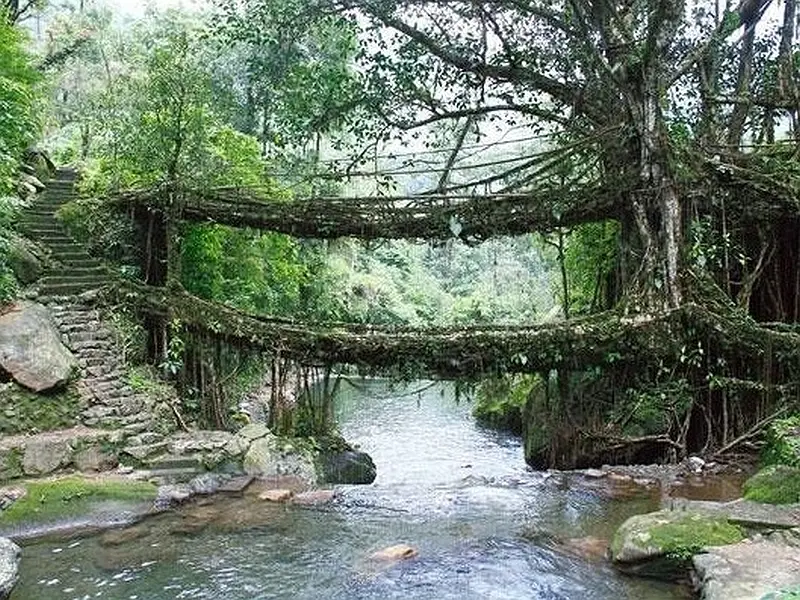Shillong Cherrapunji Kaziranga Majuli Nameri Tour Package: image #4