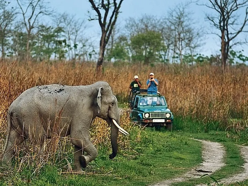 Shillong Cherrapunji Kaziranga Majuli Nameri Tawang Tour Package: image #5