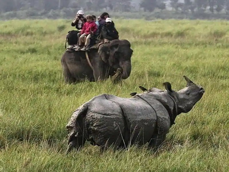 Shillong Cherrapunji Kaziranga Tour Package: image #7