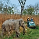 Places: Kaziranga Sightseeing, Kaziranga Safaris (70Kms/8hrs) 