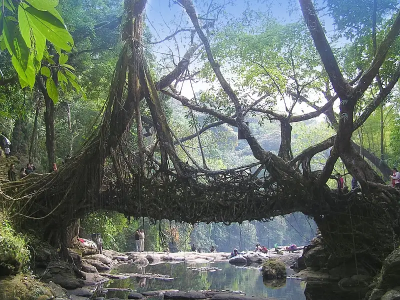 Shillong Cherrapunji Group Tour Package: image #4