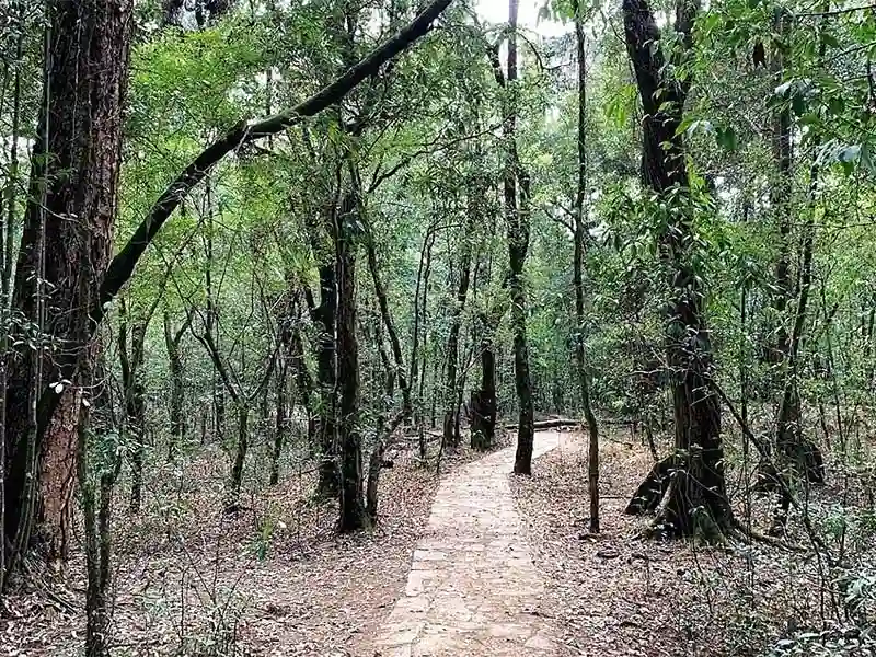 Shillong Tour Package: image #3