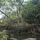Places: Trekking at Cherrapunji (50km/8hrs). Stay: Cherrapunji. 